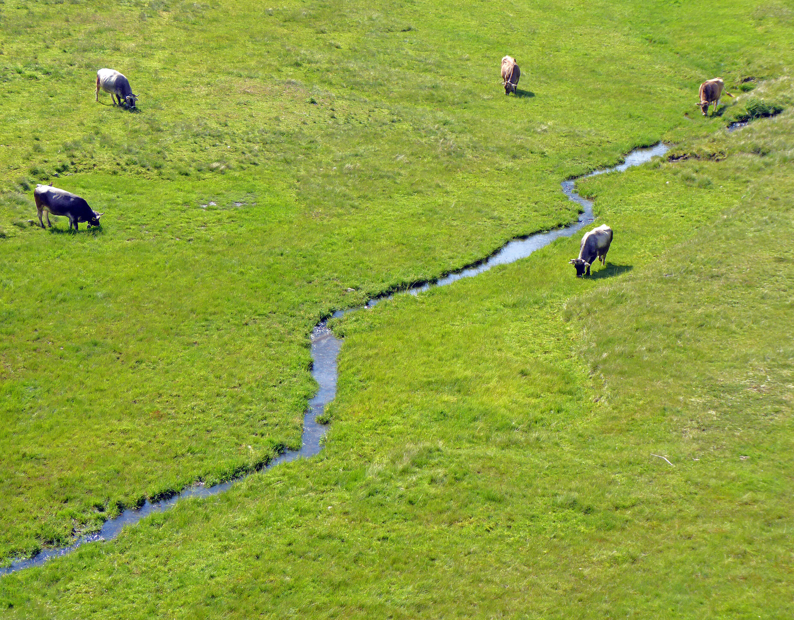 2500m Alm1 45,6×35,6