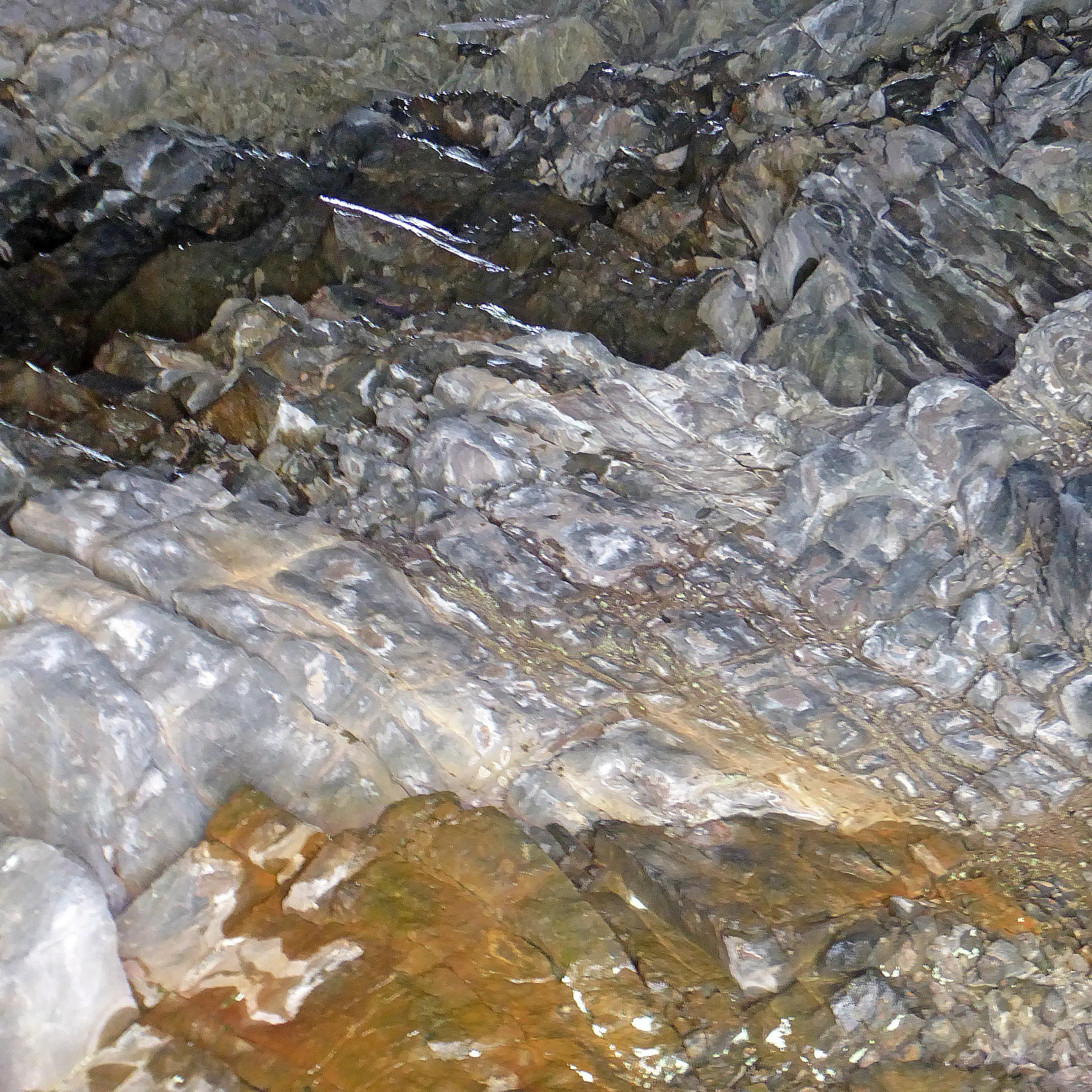 2500m Q9 55,6×55,6