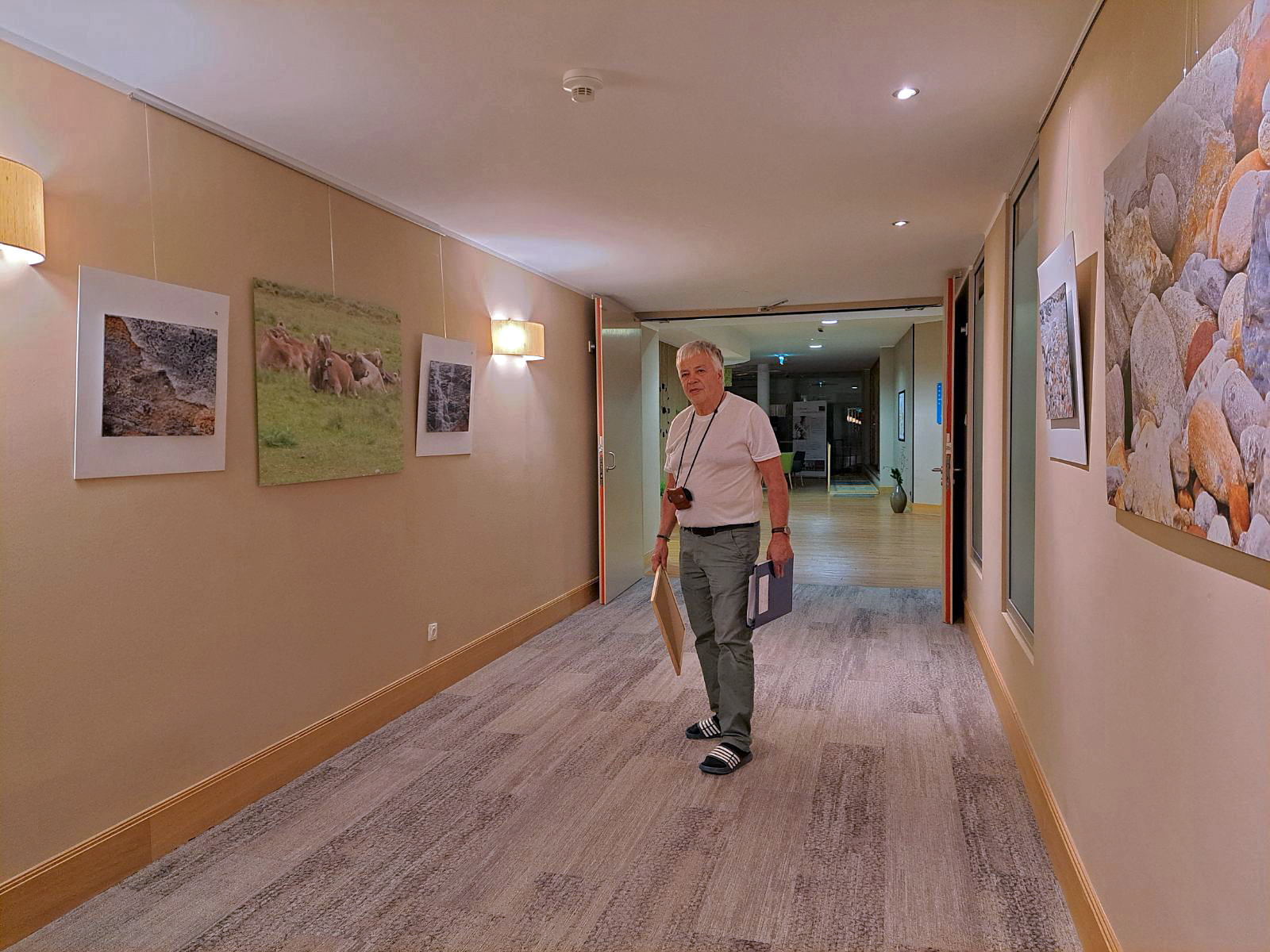 IMG-55dcfc272fd6b9b78cfffc296ffa0b9f-V