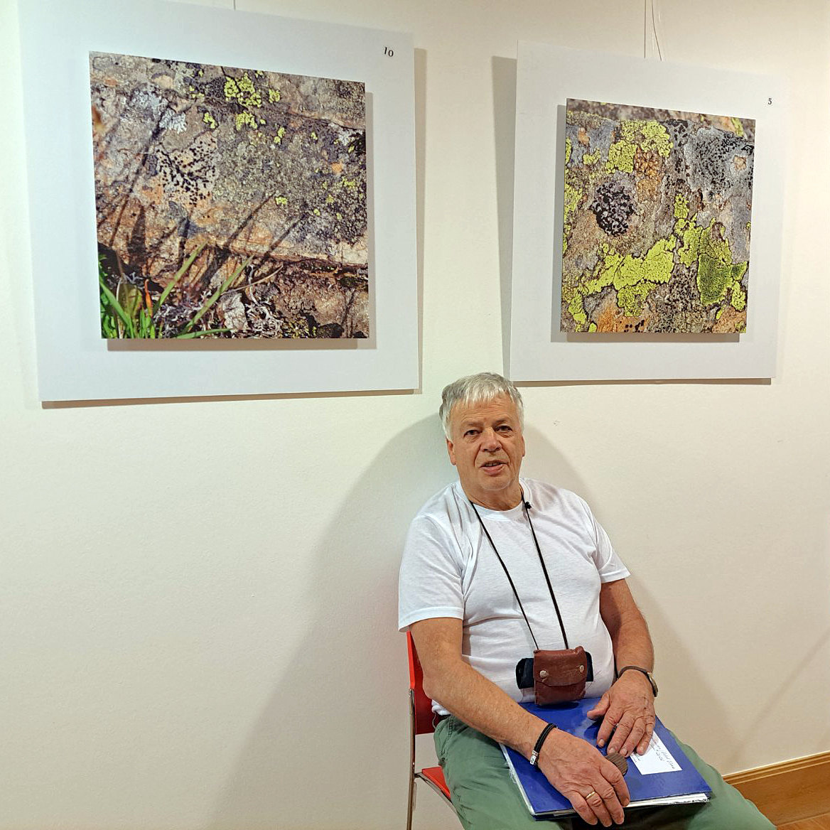 IMG-e6a470acd4dce743bb96d0bfe2be8d31-V