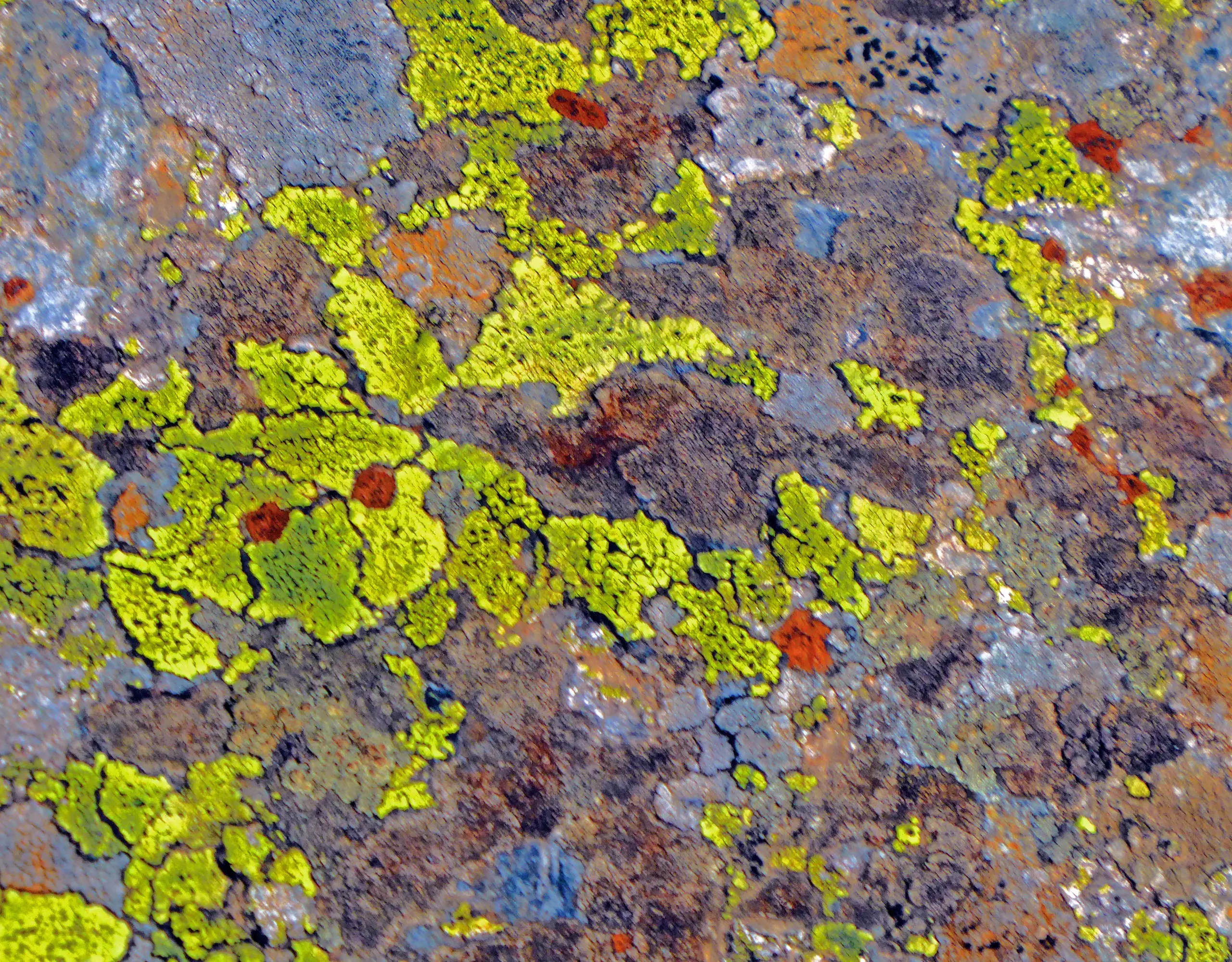 P1060735a_45,6×35,6
